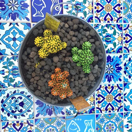 Antico E Moderno Con Design *